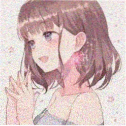 读者胶片收藏家的头像